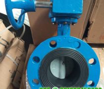 Butterfly Valve PN16 Double Flange